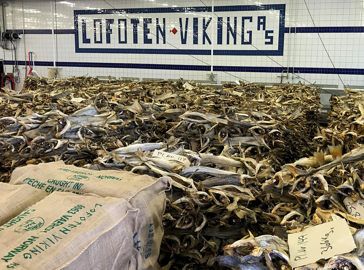 Lofoten Viking - the world's biggest producer of stockfish